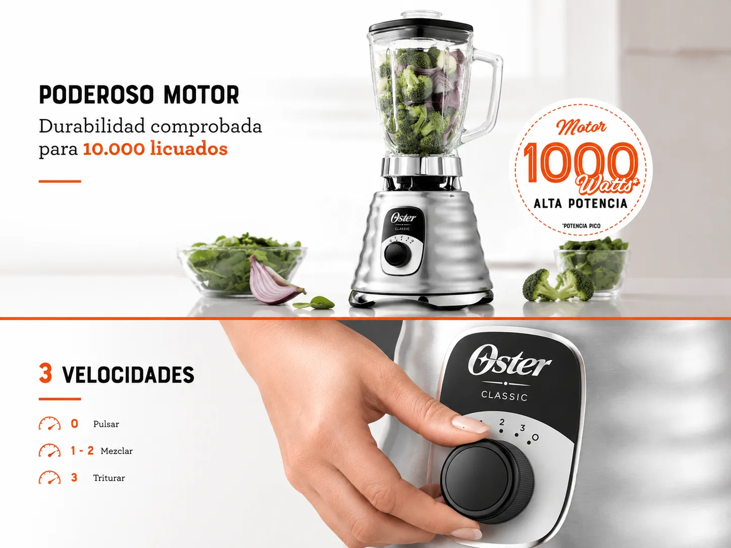Motor 1000W
